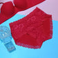 4 Pieces Combo Offer Women Girls Full Coverage Lace Hipster Panty Underwear Briefs PA21110 Qty-04